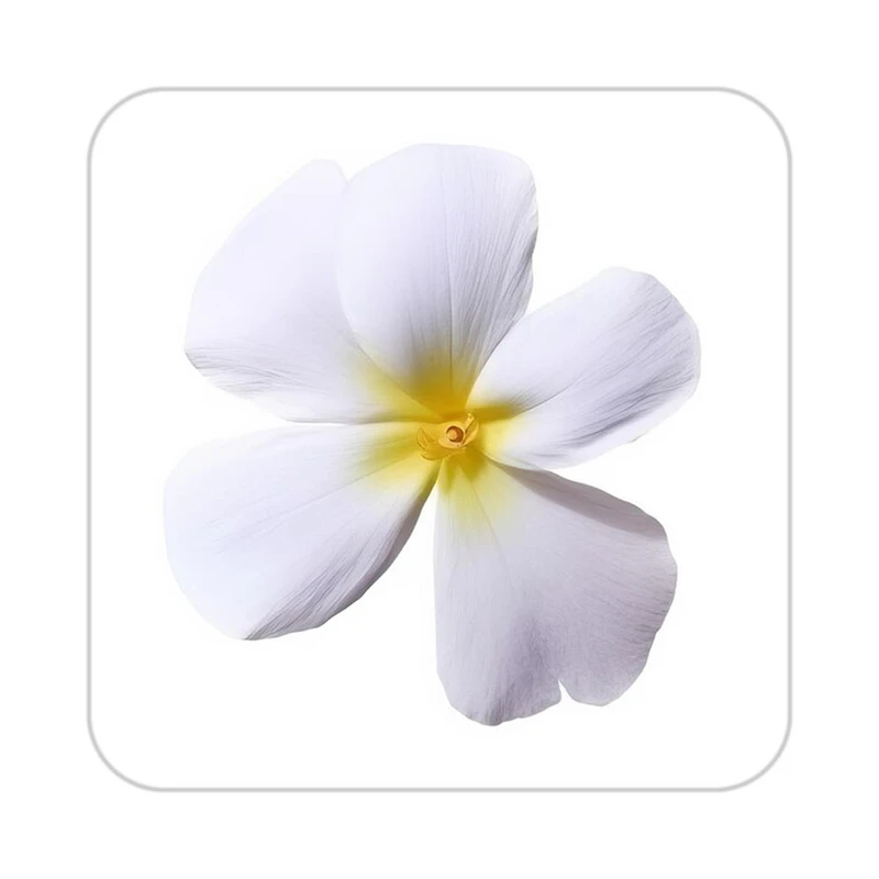 زیر لیوانی کاکتی طرح گل مدل mp17530