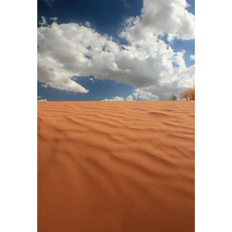 تابلو شاسی مدل بیابان و آسمان T6922