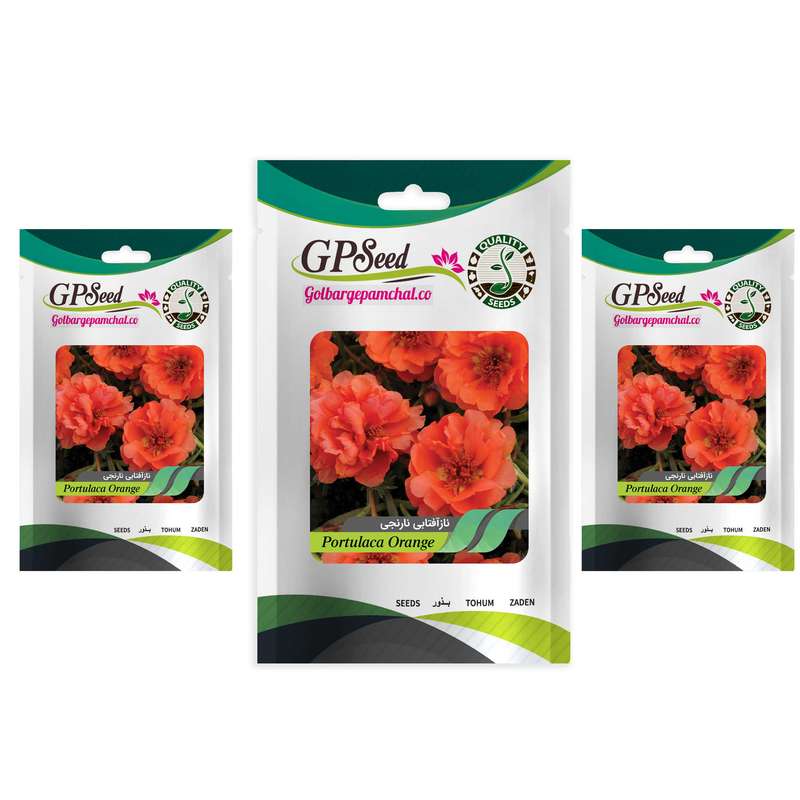  بذر گل ناز آفتابی نارنجی گلبرگ پامچال کد GPF-090 مجموعه 3 عددی 