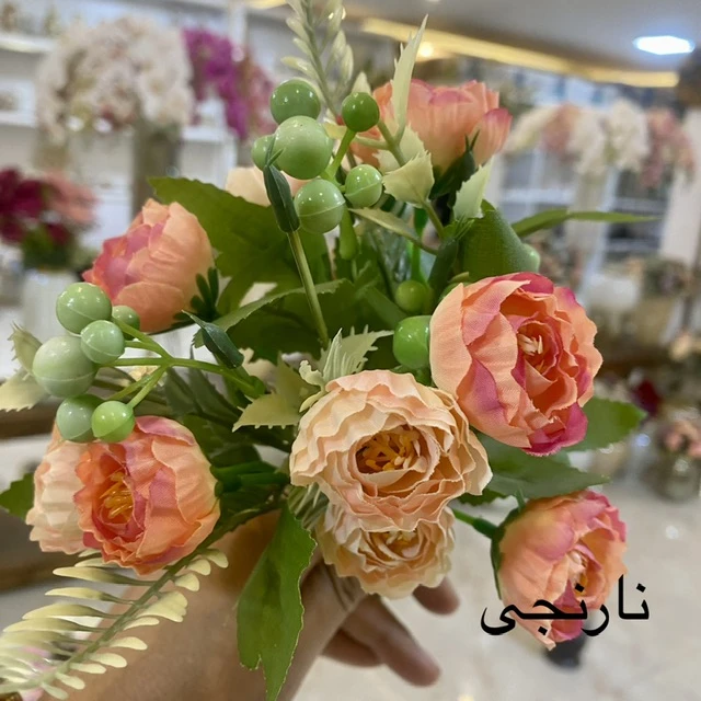 عکس شماره 2