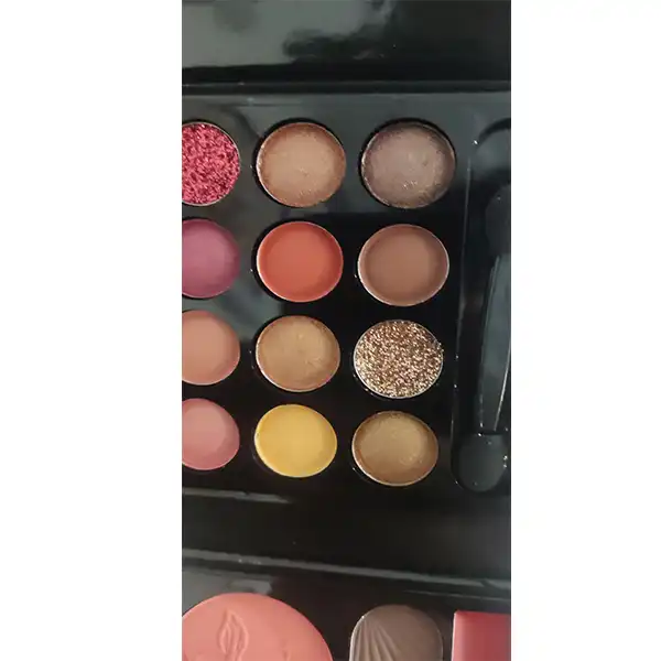 پالت آرایش صورت انی لیدی مدل Pary