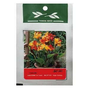 بذر گل اختر ابلق وانیا سید مدل O300