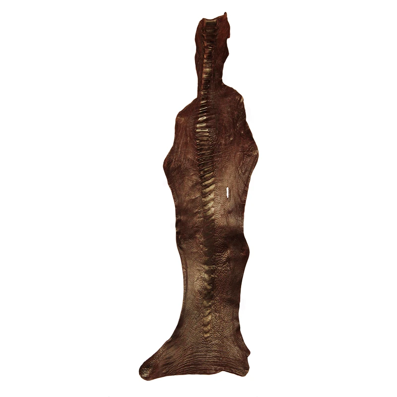 چرم طبیعی مدل ساق شتر مرغ کد OL078