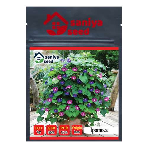 بذر گل نیلوفر رونده الوان سانیا سید مدل D5