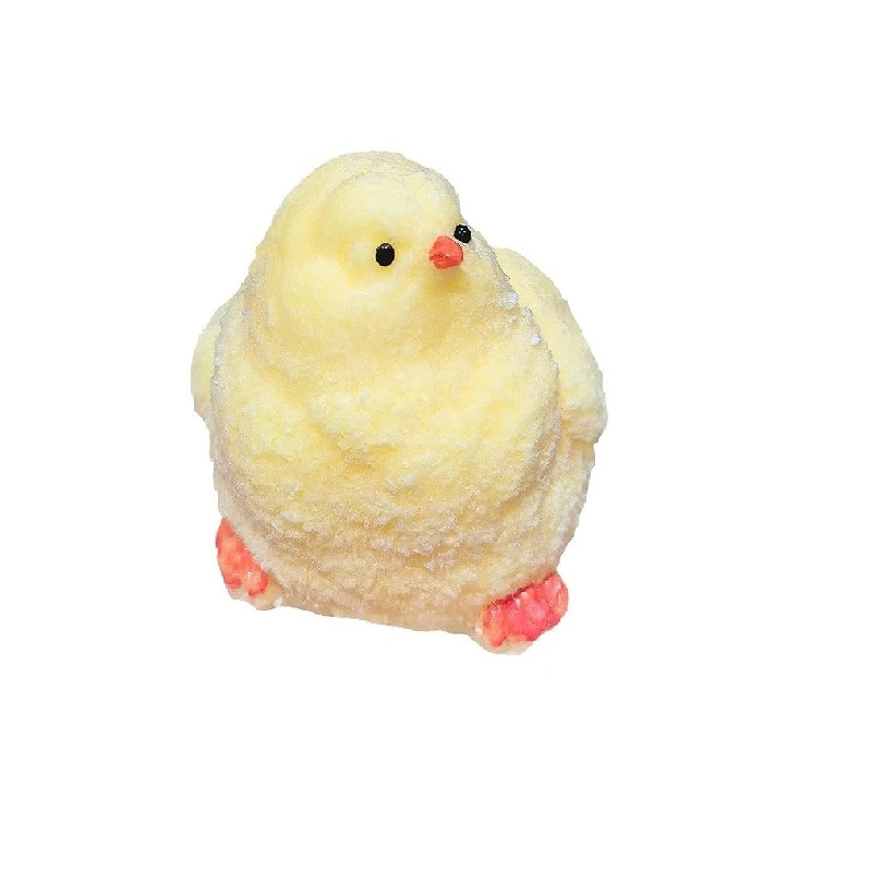 اسکوییشی مدل جوجه