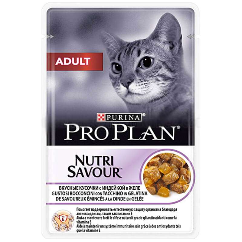 پوچ گربه پروپلن مدل Adult turky in jelly وزن 85 گرم 