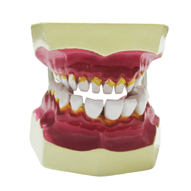 بازی آموزشی طرح مولاژ دندان مدل ASM42
