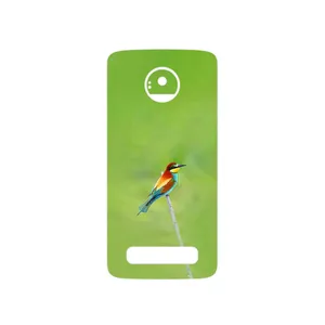 MAHOOT European bee-eater Cover Sticker for Motorola Moto Z