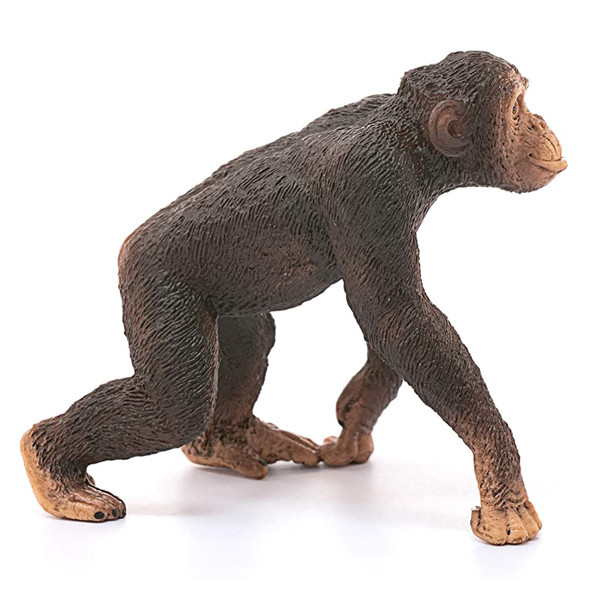 فیگور مدل Chimpanzee male کد 14817