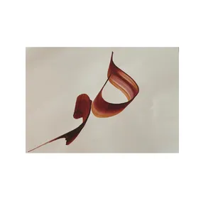 نقاشی طرح هو کد 114