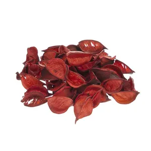 گل خشک مدل red1