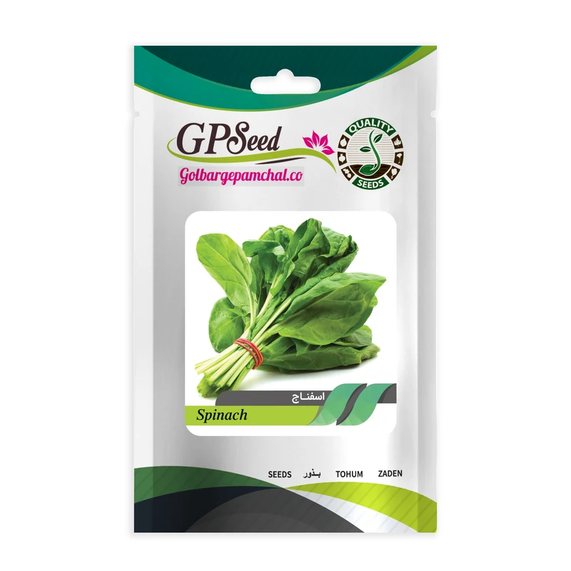 بذر اسفناج گلبرگ پامچال کد GPF-139