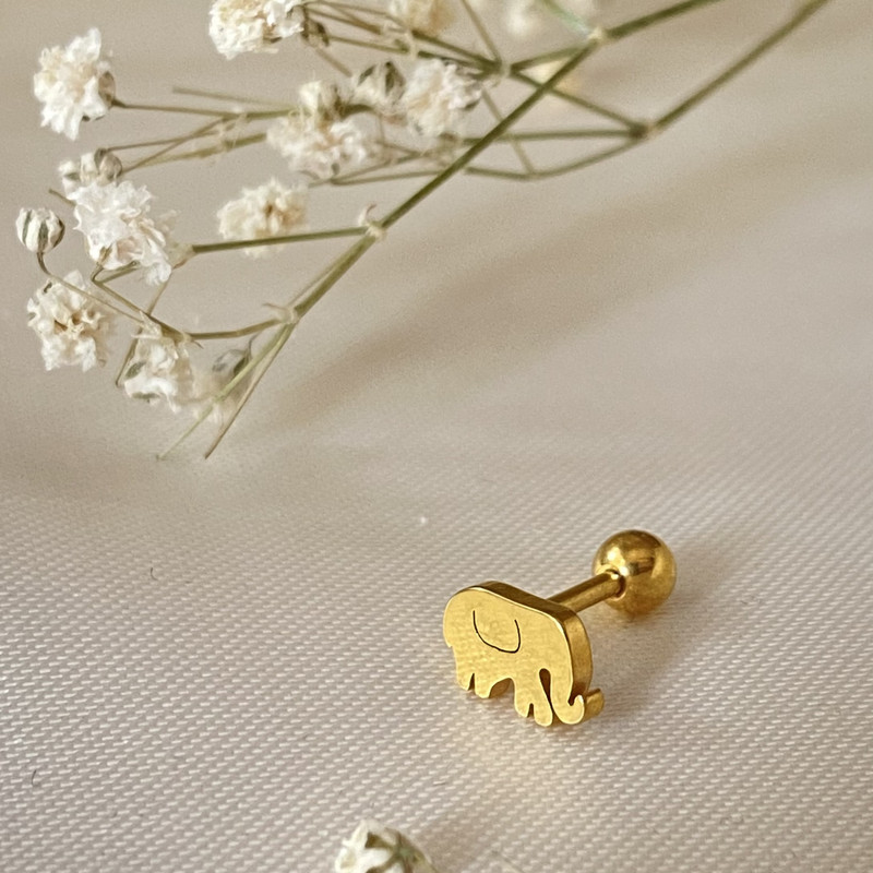 پیرسینگ گوش مدل فیل پیرسینگ گوش مدل فیل