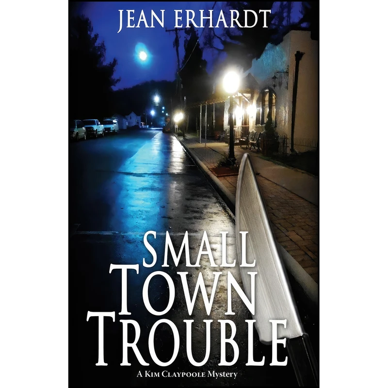 کتاب Small Town Trouble اثر Jean Erhardt انتشارات Lethe Press