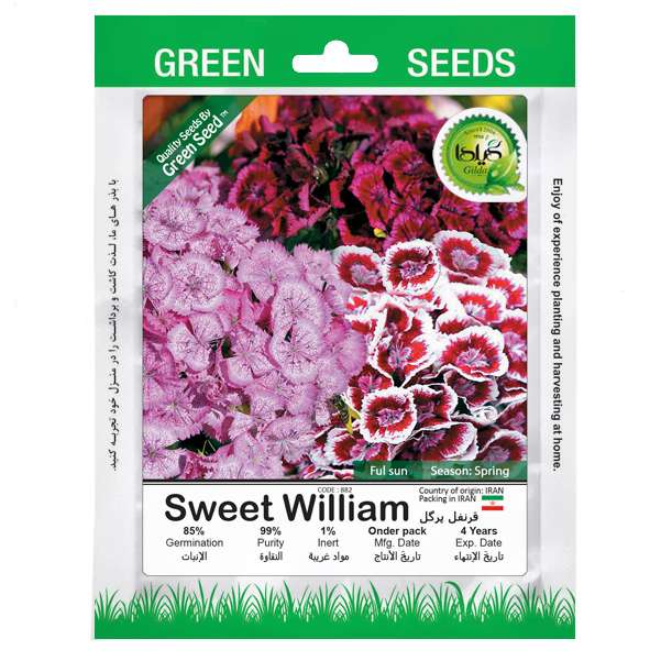 بذر قرنفل پرگل گیلدا کد 882 بذر قرنفل پرگل گیلدا کد 882