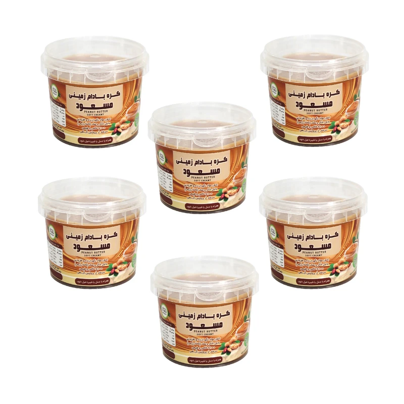 کره بادام زمینی رژیمی ساده مسعود - 250 گرم بسته 6 عددی