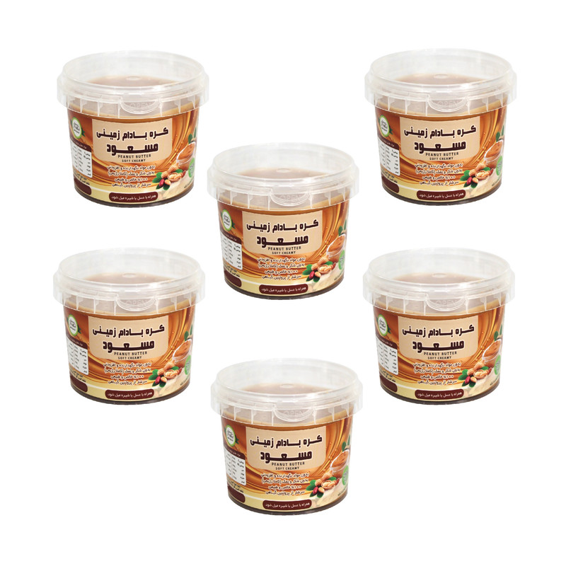کره بادام زمینی رژیمی ساده مسعود - 250 گرم بسته 6 عددی