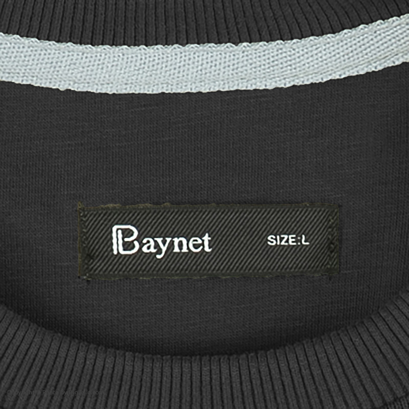 پلیور مردانه باینت مدل  585-15