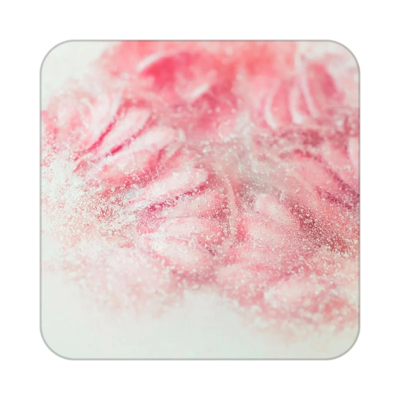 زیر لیوانی کاکتی طرح میوه مدل mp20943