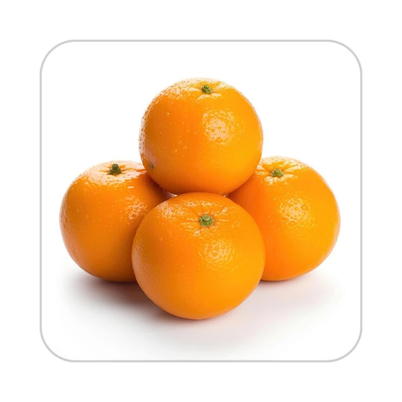 زیر لیوانی کاکتی طرح میوه مدل mp21762