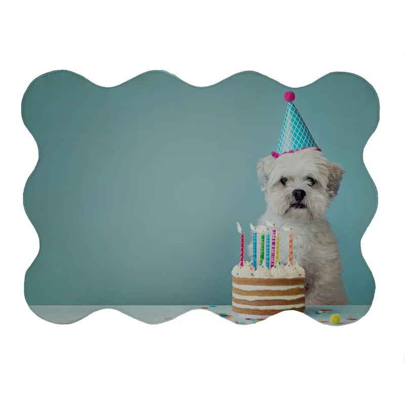 پادری مدل دالبر طرح هاپو کد 6190 سایز 80x110 سانتی متر 