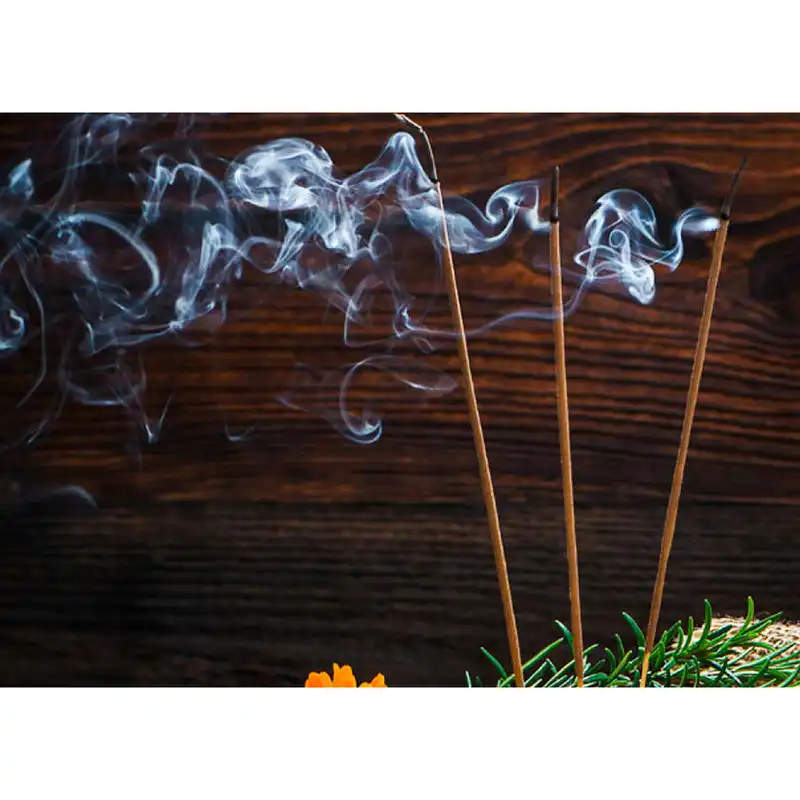 عود هم مدل magia pagana