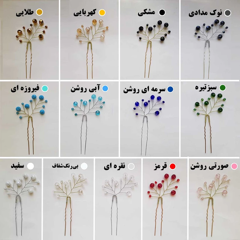 عکس شماره 2