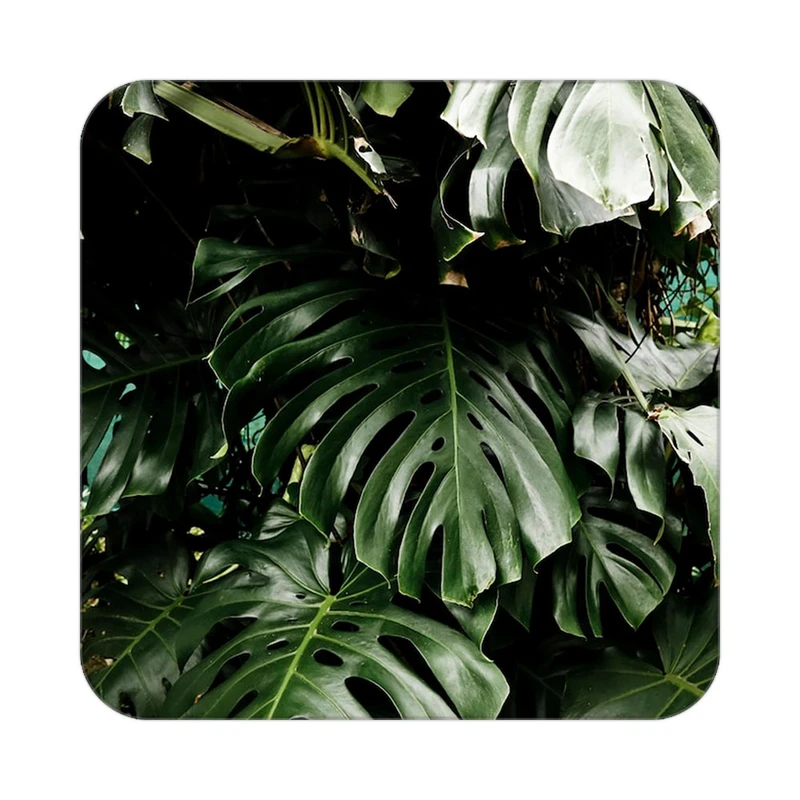 زیر لیوانی کاکتی طرح گل مدل mp16352