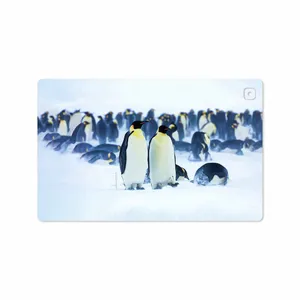 MAHOOT Penguin Cover Sticker for Samsung Galaxy Tab A7 10.4 LTE 2020 T505