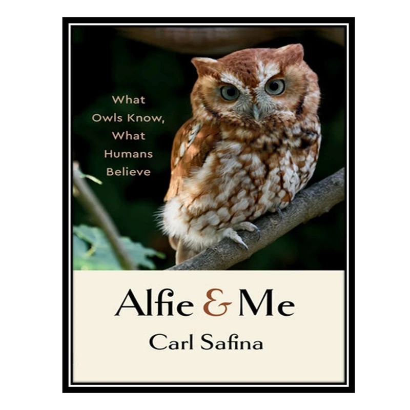 کتاب Alfie and Me : What Owls Know, What Humans Believe اثر Carl Safina انتشارات مؤلفین طلایی