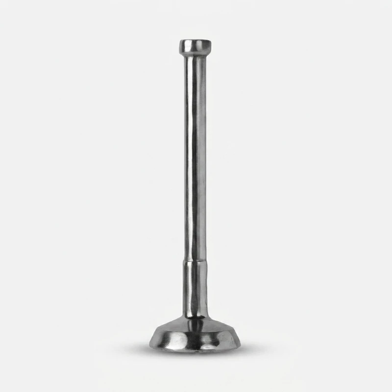 گوشت کوب مدل M1