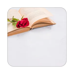زیر لیوانی کاکتی طرح گل مدل mp18202