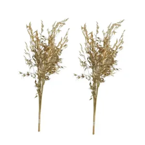 گل خشک مدل ورنو بسته دو عددی