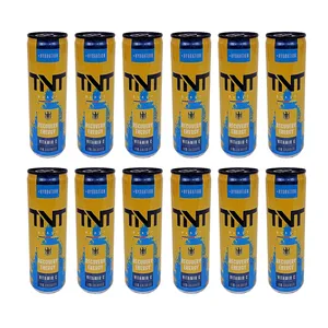 نوشابه انرژی زا انرژی ریکاوری تی ان تی بلست - 250 میلی لیتر بسته 12 عددی
