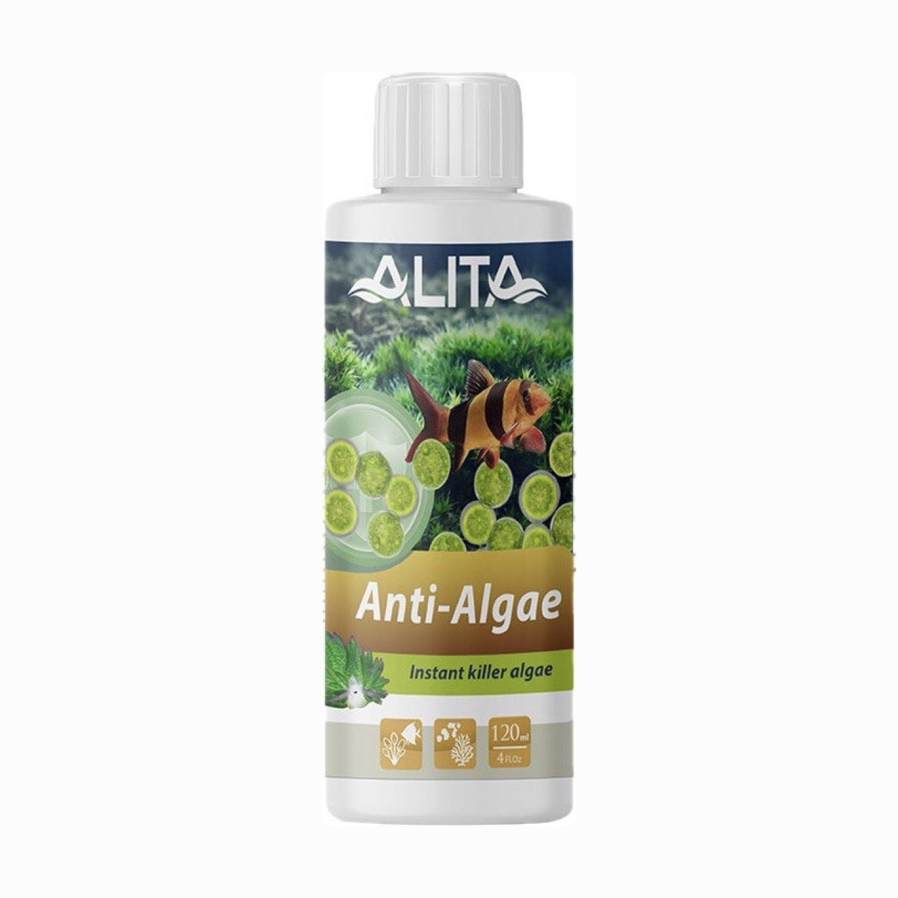 محلول ضد جلبک آلیتا مدل Anti Algae حجم ۱۲۰ میلی لیتر