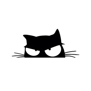 برچسب بدنه خودرو کد H1