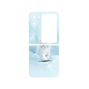 MAHOOT Cat_1 Cover Sticker for Oppo Find N2 Flip