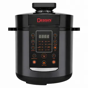 مولتی کوکر 6 لیتری دسینی مدل DS498