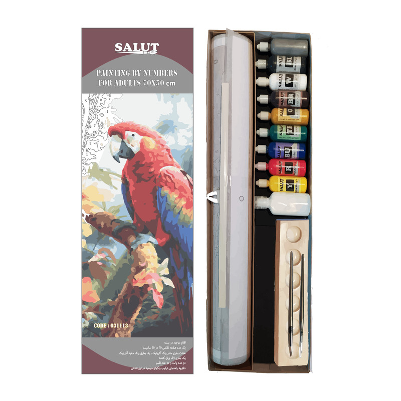 بسته رنگ آمیزی سالوت مدل آکرولیک کد 031113 مجموعه 18 عددی