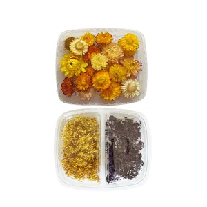 گل خشک مدل Mina200 بسته دو عددی