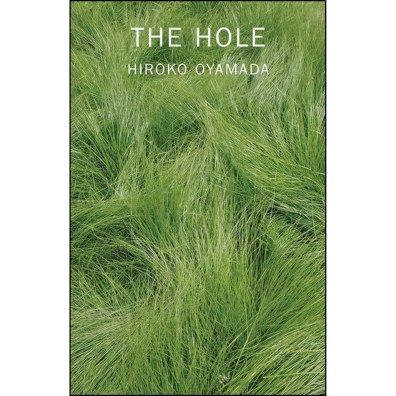 کتاب The Hole اثر Hiroko Oyamada and David Boyd انتشارات New Directions