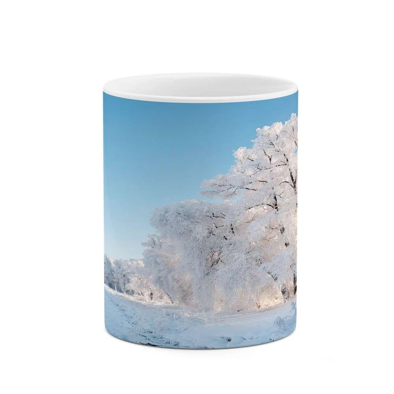 ماگ کاکتی مدل منظره کد mgh14273