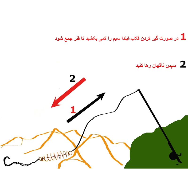 عکس شماره 3