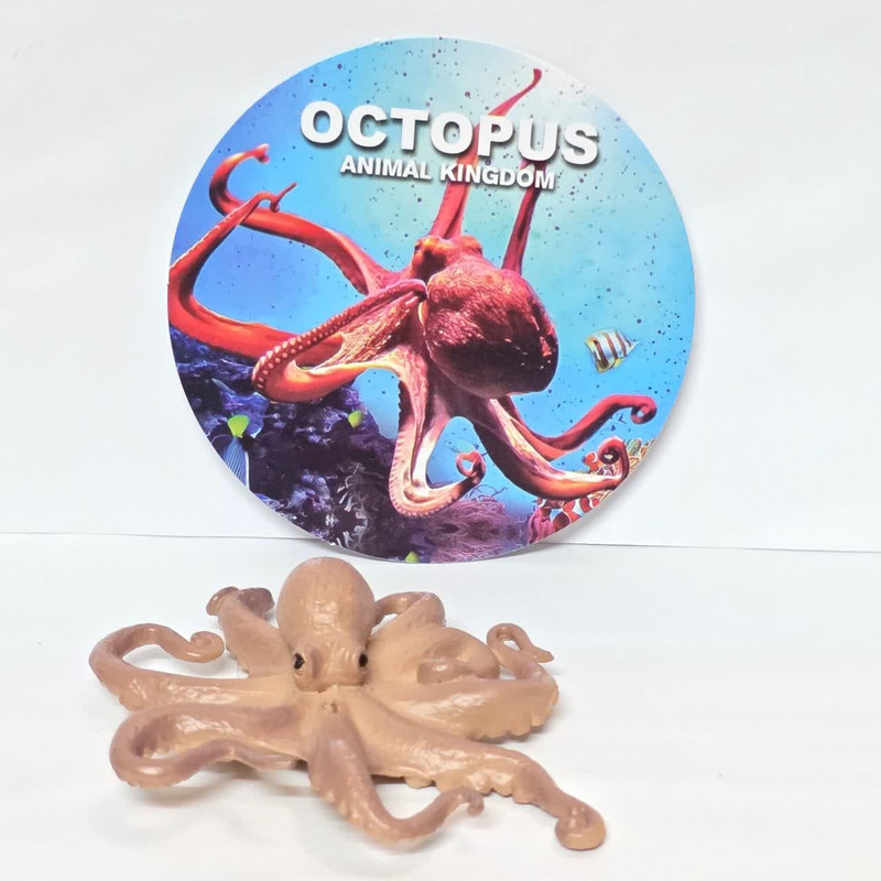 فیگور ناب سل مدل اختاپوس کد OCTOPUS NAAB019 ارتفاع 3 سانتی متر