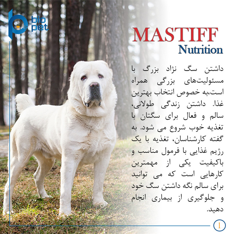 پودر مکمل سگ بایو پت مدل عضله‌ساز Mass Gainer وزن 400 گرم