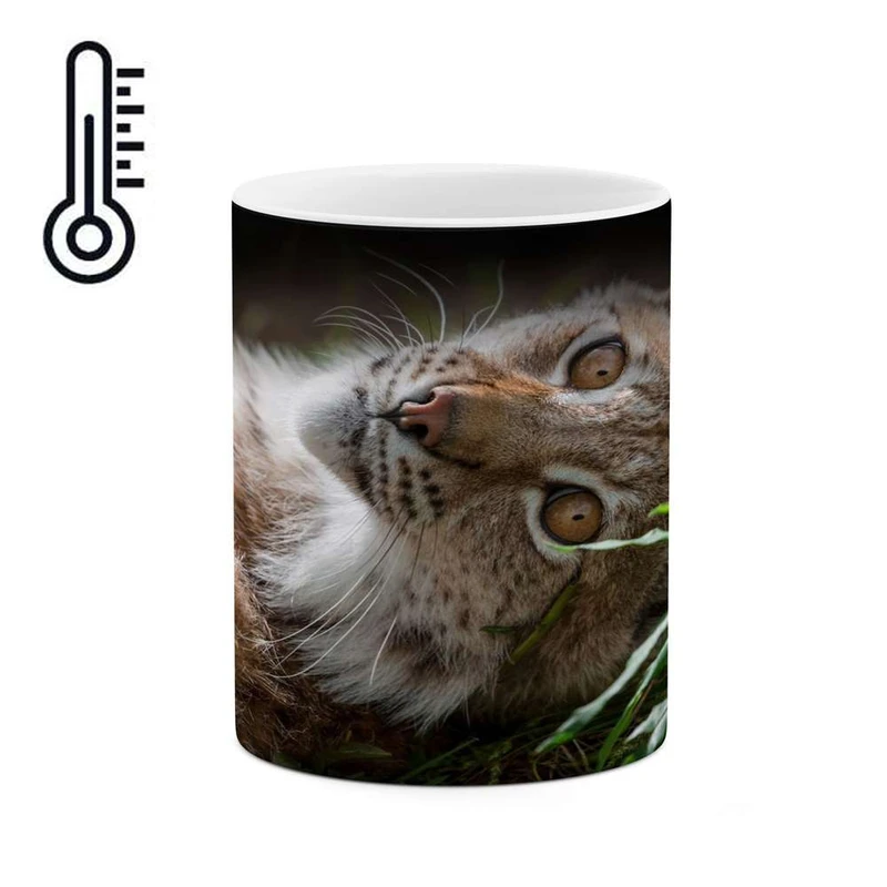 ماگ حرارتی کاکتی مدل گربه کد mgh16679