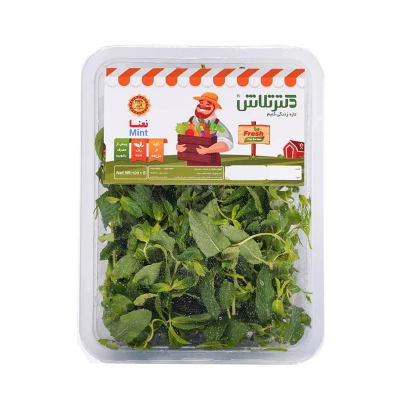 نعناع دکتر تلاش - 100 گرم