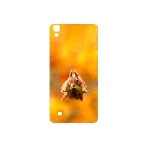 MAHOOT Squirrel Cover Sticker for LG X Power