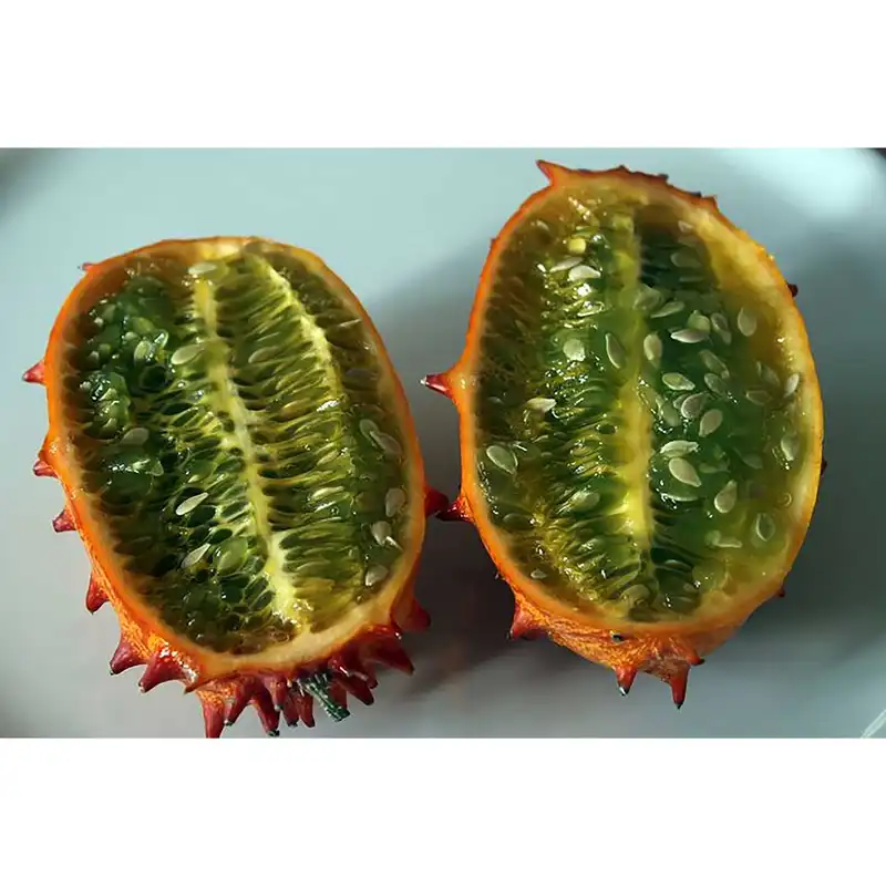 بذر کیوانو خیار آفریقایی خربزه شاخدار فصل سبز کد FSSEED-038