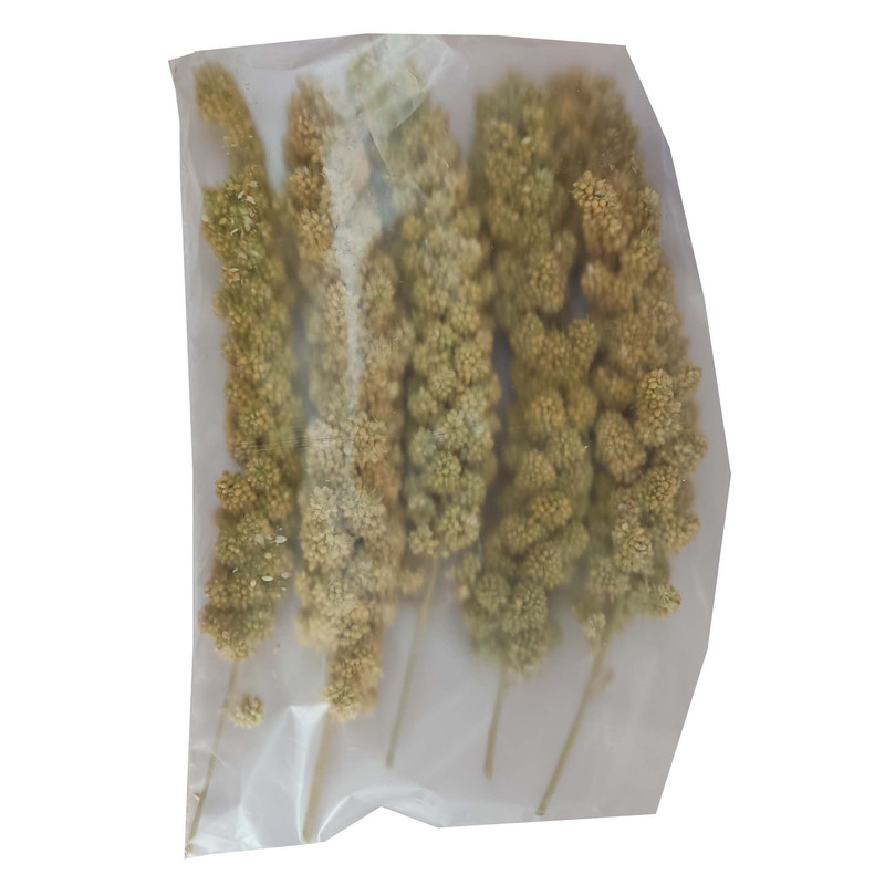 غذای پرنده مدل ارزن خوشه ای کد 20104 بسته 5 عددی